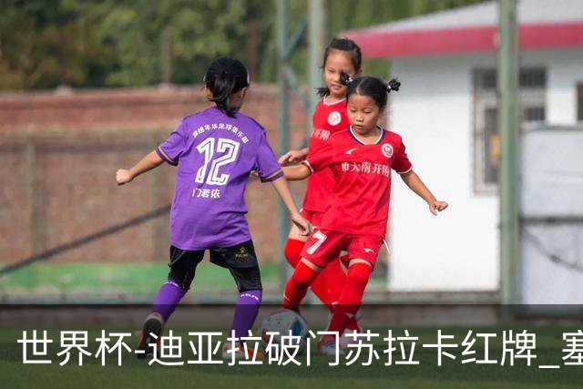 世界杯-迪亚拉破门苏拉卡红牌 塞内加尔半场1-0伊拉克